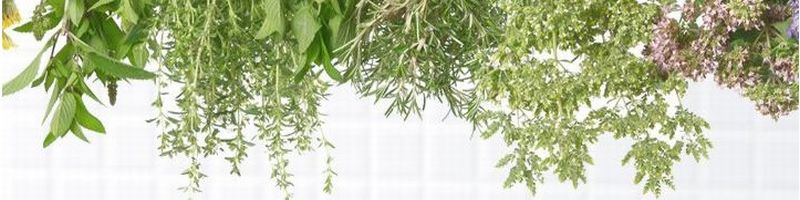 VINTORTE�@�{�^�j�J�����C�X�g�V���[�Y���T�C�g